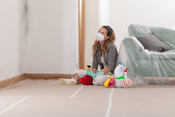 Reliable Mold Remediation contractor in Chapel Hill, NC by Cheap Mold Removal
